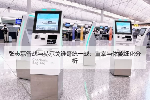张志磊备战与赫尔戈维奇统一战：重拳与体能细化分析